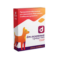 DataMobile Основные средства: ТОИР